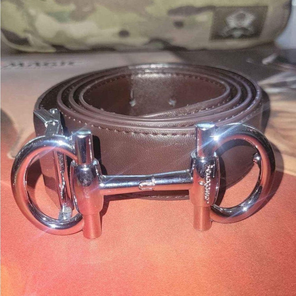 Ferragamo bit buckle & 36 brown belt.  Good shape